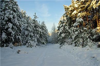 《绝地潜兵2》9月确认推出大型更新 承诺将加强武器