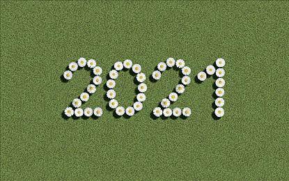 粉丝制作《黑暗之魂：黄昏》发行日公布 12月21日推出